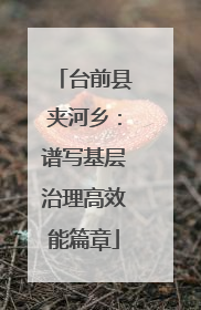台前县夹河乡：谱写基层治理高效能篇章