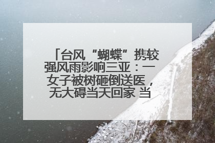台风“蝴蝶”携较强风雨影响三亚：一女子被树砸倒送医，无大碍当天回家 当地已紧急清障