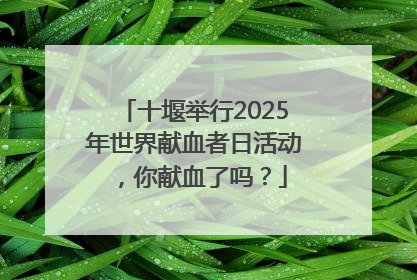 十堰举行2025年世界献血者日活动，你献血了吗？