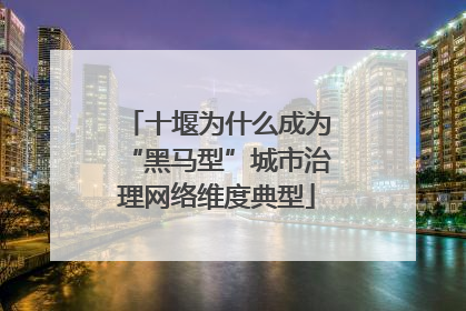 十堰为什么成为“黑马型”城市治理网络维度典型