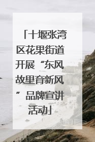 十堰张湾区花果街道开展“东风故里育新风”品牌宣讲活动
