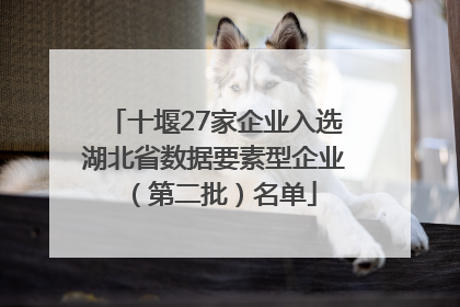 十堰27家企业入选湖北省数据要素型企业（第二批）名单