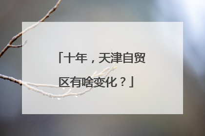 十年，天津自贸区有啥变化？