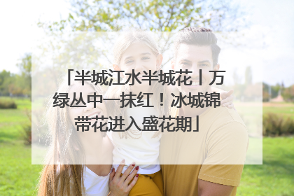 半城江水半城花丨万绿丛中一抹红！冰城锦带花进入盛花期