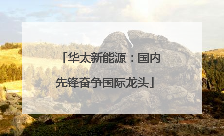 华太新能源：国内先锋奋争国际龙头