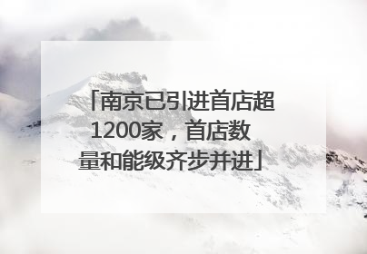南京已引进首店超1200家，首店数量和能级齐步并进