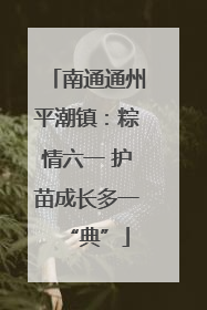 南通通州平潮镇：粽情六一 护苗成长多一“典”