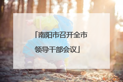 南阳市召开全市领导干部会议