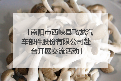 南阳市西峡县飞龙汽车部件股份有限公司赴台开展交流活动