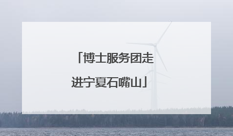博士服务团走进宁夏石嘴山