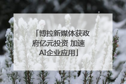 博拉新媒体获政府亿元投资 加速AI企业应用