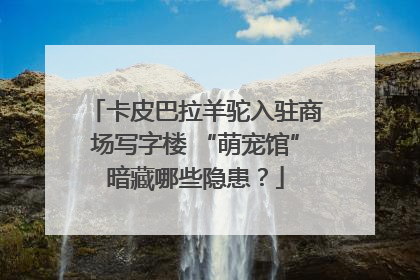 卡皮巴拉羊驼入驻商场写字楼 “萌宠馆”暗藏哪些隐患？
