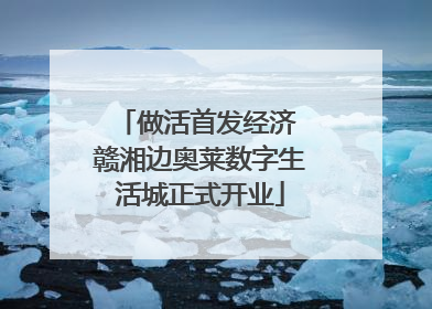 做活首发经济 赣湘边奥莱数字生活城正式开业
