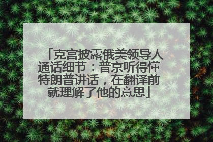 克宫披露俄美领导人通话细节：普京听得懂特朗普讲话，在翻译前就理解了他的意思