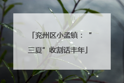 兖州区小孟镇：“三夏”收割话丰年