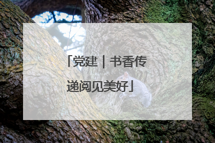 党建｜书香传递阅见美好