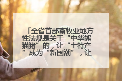 全省首部畜牧业地方性法规是关于“中华熊猫猪”的，让“土特产”成为“新国潮”，让“农产品”升格为“城市IP”