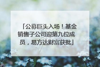 公募巨头入场！基金销售子公司迎第九位成员，易方达财富获批