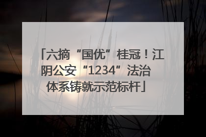 六摘“国优”桂冠！江阴公安“1234”法治体系铸就示范标杆