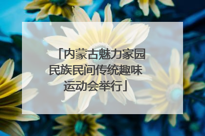 内蒙古魅力家园民族民间传统趣味运动会举行