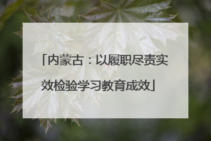 内蒙古：以履职尽责实效检验学习教育成效