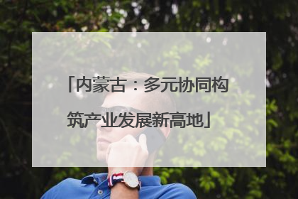 内蒙古：多元协同构筑产业发展新高地