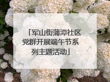 军山街蒲潭社区党群开展端午节系列主题活动