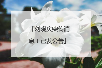 刘晓庆突传消息！已发公告