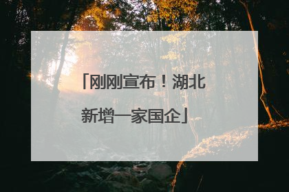 刚刚宣布！湖北新增一家国企