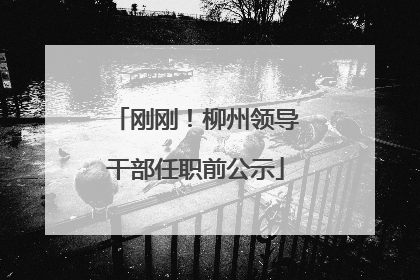 刚刚！柳州领导干部任职前公示