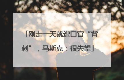 刚走一天就遭白宫“背刺”，马斯克：很失望