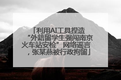 利用AI工具捏造 “外籍留学生强闯南京火车站安检”网络谣言，张某燕被行政拘留