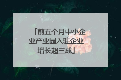 前五个月中小企业产业园入驻企业增长超三成
