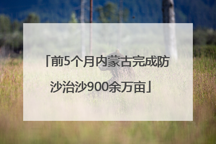前5个月内蒙古完成防沙治沙900余万亩