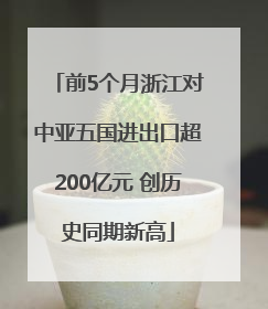 前5个月浙江对中亚五国进出口超200亿元 创历史同期新高