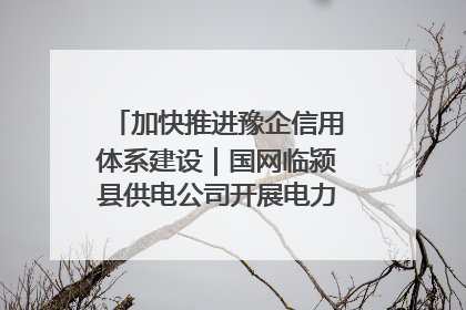 加快推进豫企信用体系建设｜国网临颍县供电公司开展电力行业信用企业现场咨询访谈工作