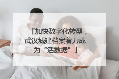 加快数字化转型，武汉城建档案着力成为“活数据”
