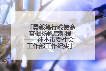 勇毅笃行践使命 奋楫扬帆启新程——神木市委社会工作部工作纪实