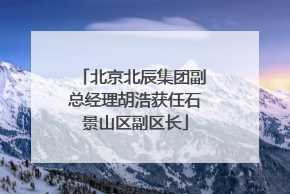 北京北辰集团副总经理胡浩获任石景山区副区长