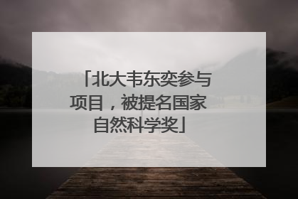 北大韦东奕参与项目，被提名国家自然科学奖