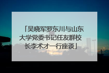 吴晓军罗东川与山东大学党委书记任友群校长李术才一行座谈