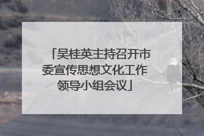 吴桂英主持召开市委宣传思想文化工作领导小组会议