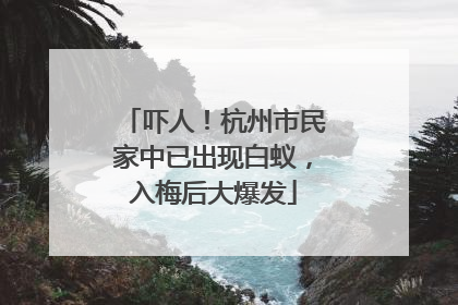 吓人！杭州市民家中已出现白蚁，入梅后大爆发