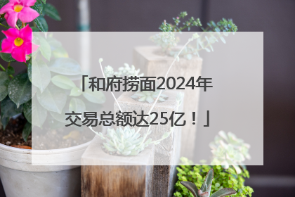 和府捞面2024年交易总额达25亿！