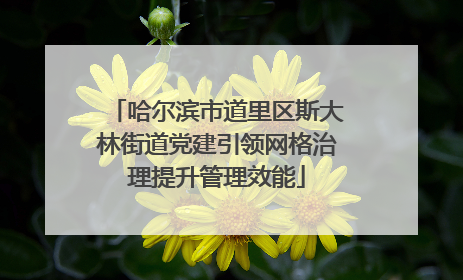 哈尔滨市道里区斯大林街道党建引领网格治理提升管理效能