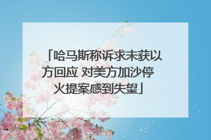 哈马斯称诉求未获以方回应 对美方加沙停火提案感到失望