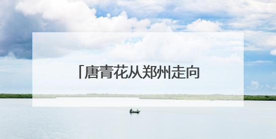 唐青花从郑州走向世界 “大唐・青花瓷学术研讨会”在郑州圆满举行