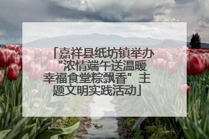 嘉祥县纸坊镇举办“浓情端午送温暖 幸福食堂粽飘香”主题文明实践活动