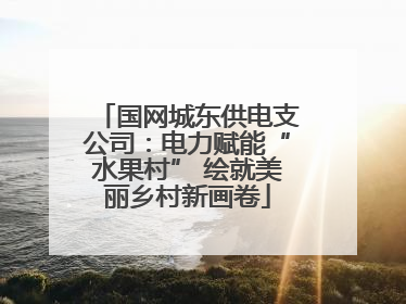 国网城东供电支公司：电力赋能“水果村” 绘就美丽乡村新画卷