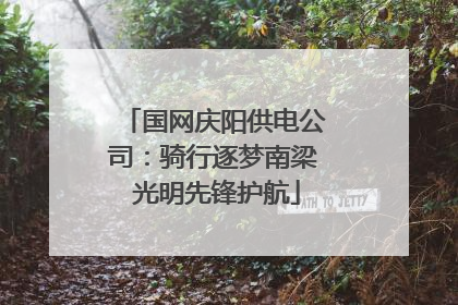 国网庆阳供电公司：骑行逐梦南梁 光明先锋护航